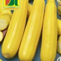 Austrosaat Zucchini 'Gold Rush F1' Saatgut: Goldgelbe Zucchini auf der Verpackung.