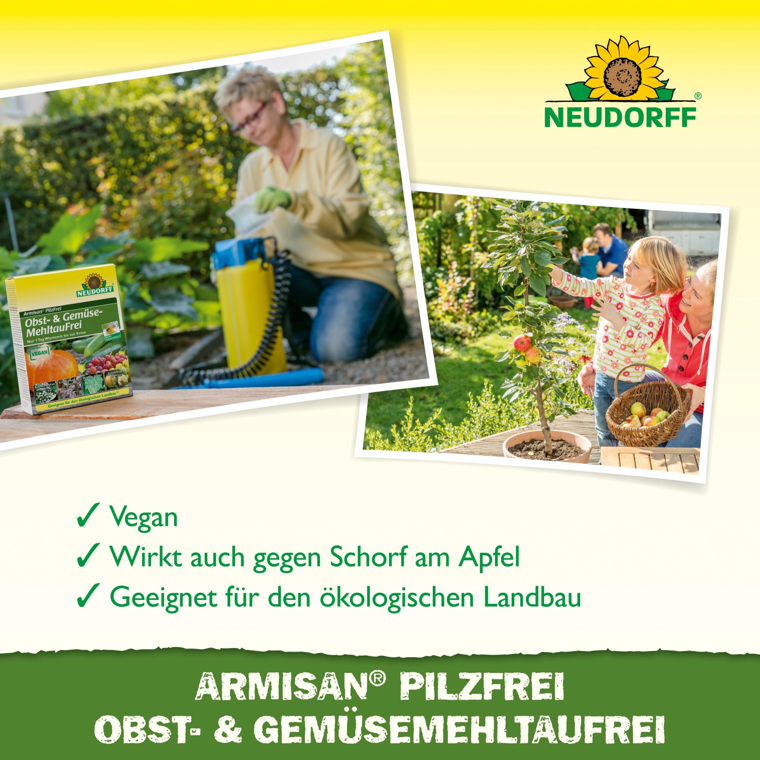 Neudorff Armisan Pilzfrei: Mittel gegen Mehltau an Obst und Gemüse, Anwendung im Garten.