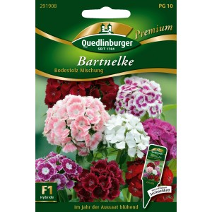 Samenpackung Quedlinburger Bartnelke 'Bodestolz Mischung' mit Blüten in verschiedenen Farben.