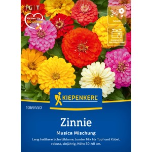 Kiepenkerl Zinnie Musica Mischung Saatgut mit bunten Zinnien Blüten in Gelb, Rot, Orange und Pink.