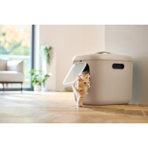 Rotho Katzentoilette Biala XL in Cappuccino mit Katze, ideal für große Katzen und Mehrkatzenhaushalte.