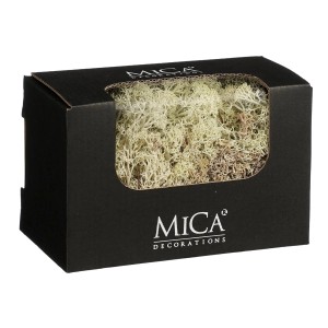 Mica Decorations Rentiermoos, creme, in schwarzer Verpackung. Ideal für Deko und Bastelarbeiten.