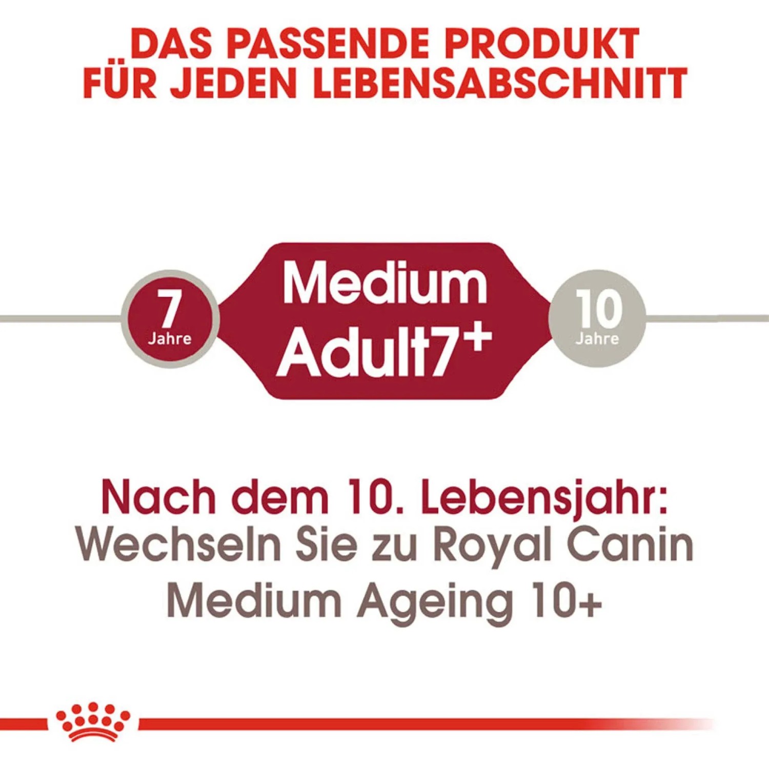 Royal Canin Medium Adult 7+ Hunde-Trockenfutter: Für mittelgroße Hunde ab 7 Jahren.