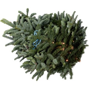 Tannenzweige Edeltanne 5 kg  Bund Nobilis