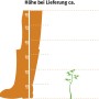 Illustration: Größenvergleich Strauch-Wald-Kiefer Watereri (10-20cm) zu Schuh. Kiefer für Einzelpflanzung.
