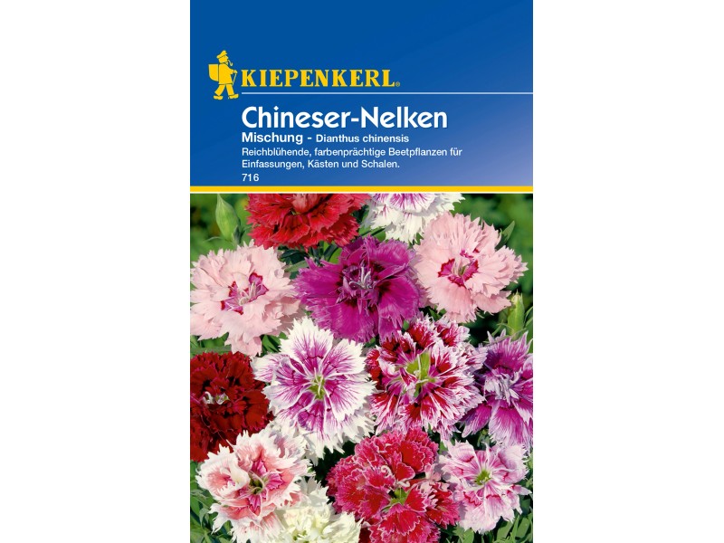 Kiepenkerl ChineserNelken "Mischung" Dianthus kaufen bei OBI