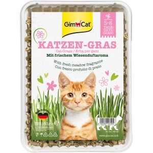 GimCat Katzengras, 150g Katzensnack im Kunststoffbehälter mit Katzenmotiv.