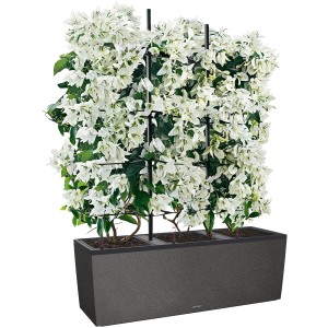 Lechuza Trio Stone 40 Pflanzkübel in Steingrau mit Rankgitter und weiß blühenden Pflanzen.