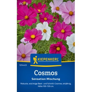 Kiepenkerl Saatgut Cosmos Sensation Mischung