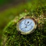 Pergart Hygrometer zur Temperatur- und Luftfeuchtigkeitsmessung im Gewächshaus.