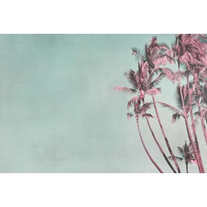 Fototapete Palmen Türkis Rosa 4,00 m x 2,70 m FSC®