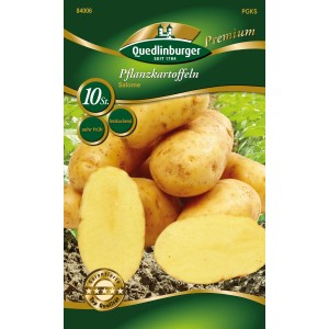 Quedlinburger Pflanzkartoffeln Salome, gelbe Frühkartoffeln, festkochend.