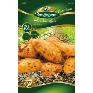 Quedlinburger Pflanzkartoffeln Goldmarie, festkochend, 10 Stück. Gelbschalige Frühkartoffeln.