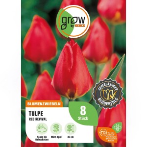 8 rote Tulpen „Red Revival“ als Blumenzwiebeln von GROW by OBI. Ideal für Beet und Vase.