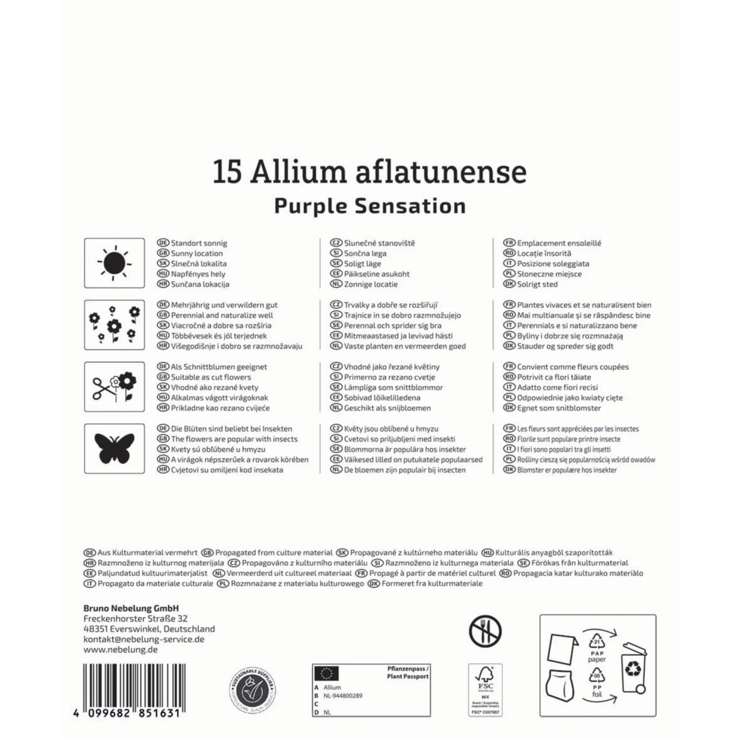 Kiepenkerl Zierlauch 'Purple Sensation' Blumenzwiebeln, 15 Stück. Lila Blüten für Beet und Vase.