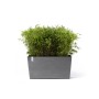 Ecopots Pflanztopf Paris Rollen Grau (HxBxT) 51 x 100 x 40 cm_2