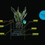 Grafik: Lechuza Canto Stone low LED Pflanzgefäß Quarzweiß, Schema des Bewässerungssystems mit LED-Lichtband.