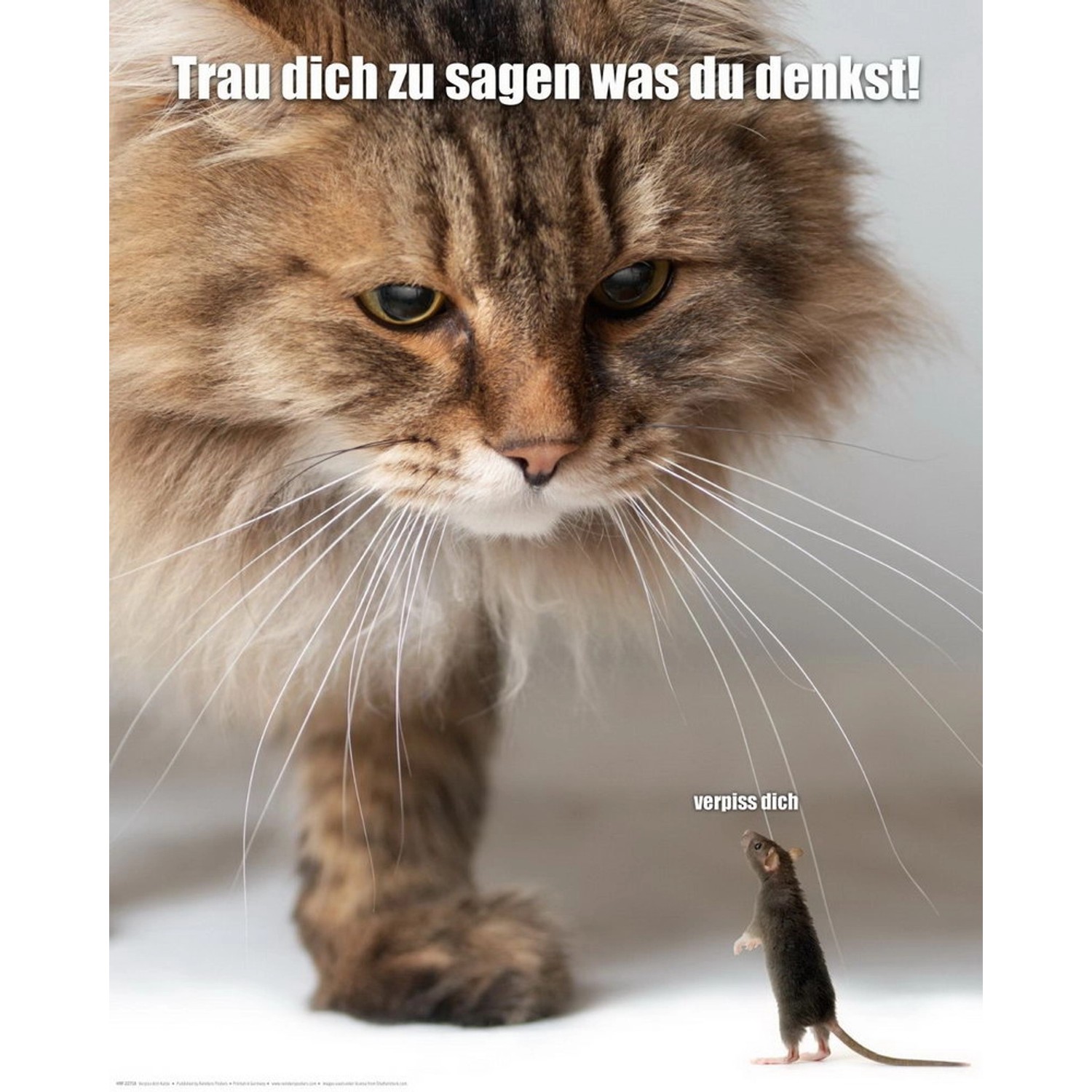 Deco Panel mit Katzen- und Mausmotiv, humorvoller Spruch. Fertigbild für Wohnraum.