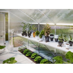 KGT Tischgestell Iris II im Gewächshaus mit Pflanzen auf weißen Kunststoffplatten. Gewächshaus-Zubehör.