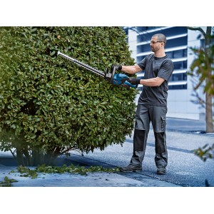 Mann schneidet Hecke mit Bosch Akku-Heckenschere GHE 18V-60. Kabellose Heckenschere im Einsatz.