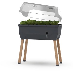 Anthrazitfarbenes Gusta Garden Hochbeet Sammy Salad 40L mit Salat und transparenter Haube.