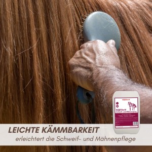 Hand bürstet braunes Pferdefell mit Supravit Schweif- & Mähnenspray für leichte Kämmbarkeit & Glanz.