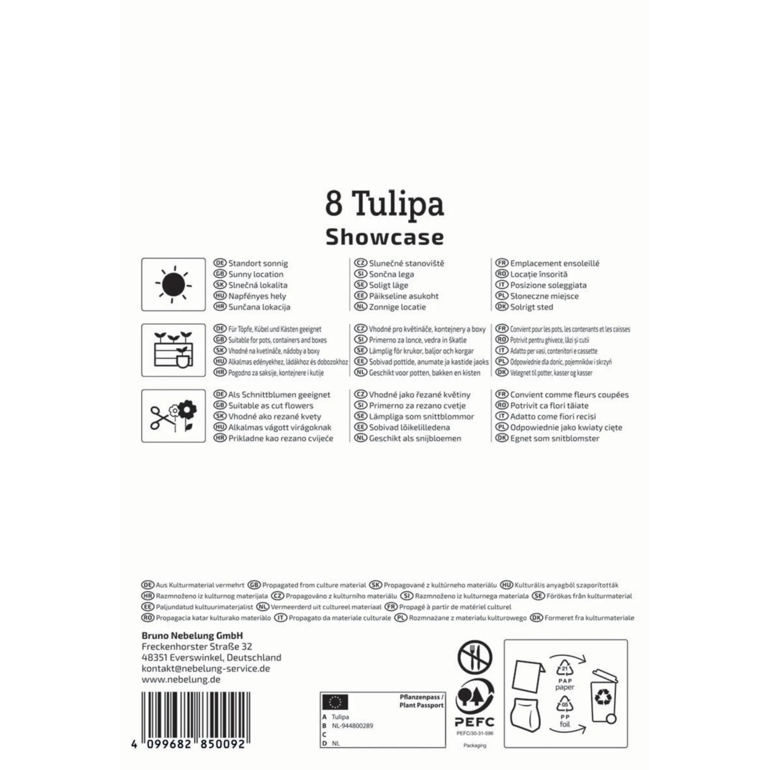 Kiepenkerl Tulpenzwiebeln 'Showcase', gefüllte, purpurfarbene Tulpen, 8 Stück.