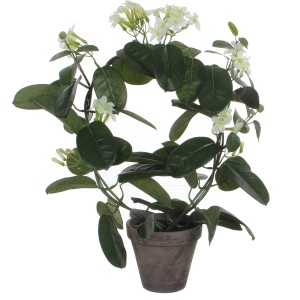 Mica Decorations Kunstpflanze Stephanotis mit weißen Blüten im Topf, Ø 40x50 cm.