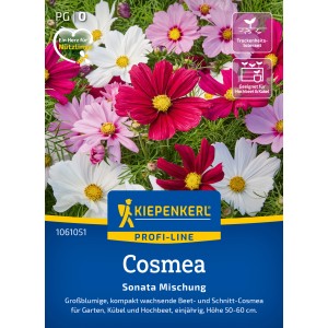 Kiepenkerl Saatgut Cosmos Sonata Mischung mit rosa, weißen und roten Blüten.