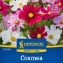 Kiepenkerl Saatgut Cosmos Sonata Mischung mit rosa, weißen und roten Blüten.