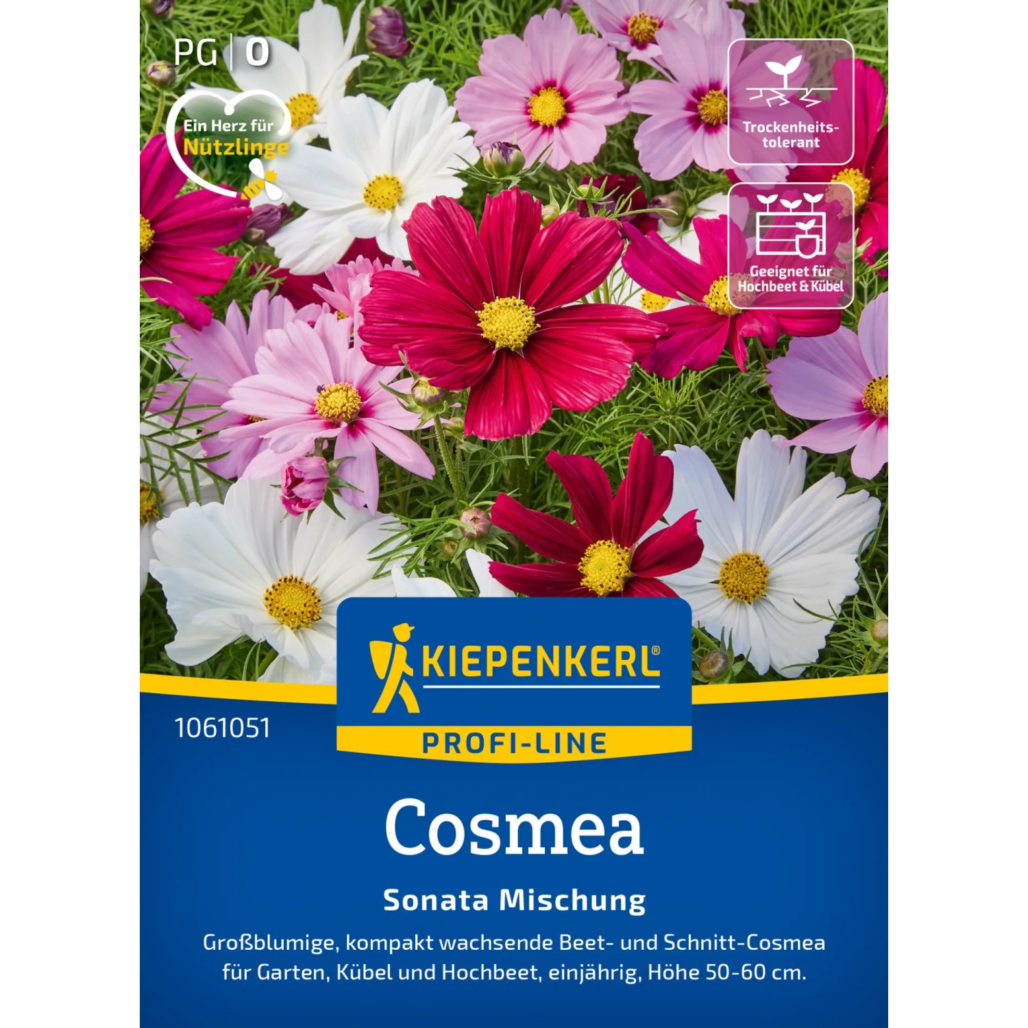 Kiepenkerl Saatgut Cosmos Sonata Mischung mit rosa, weißen und roten Blüten.