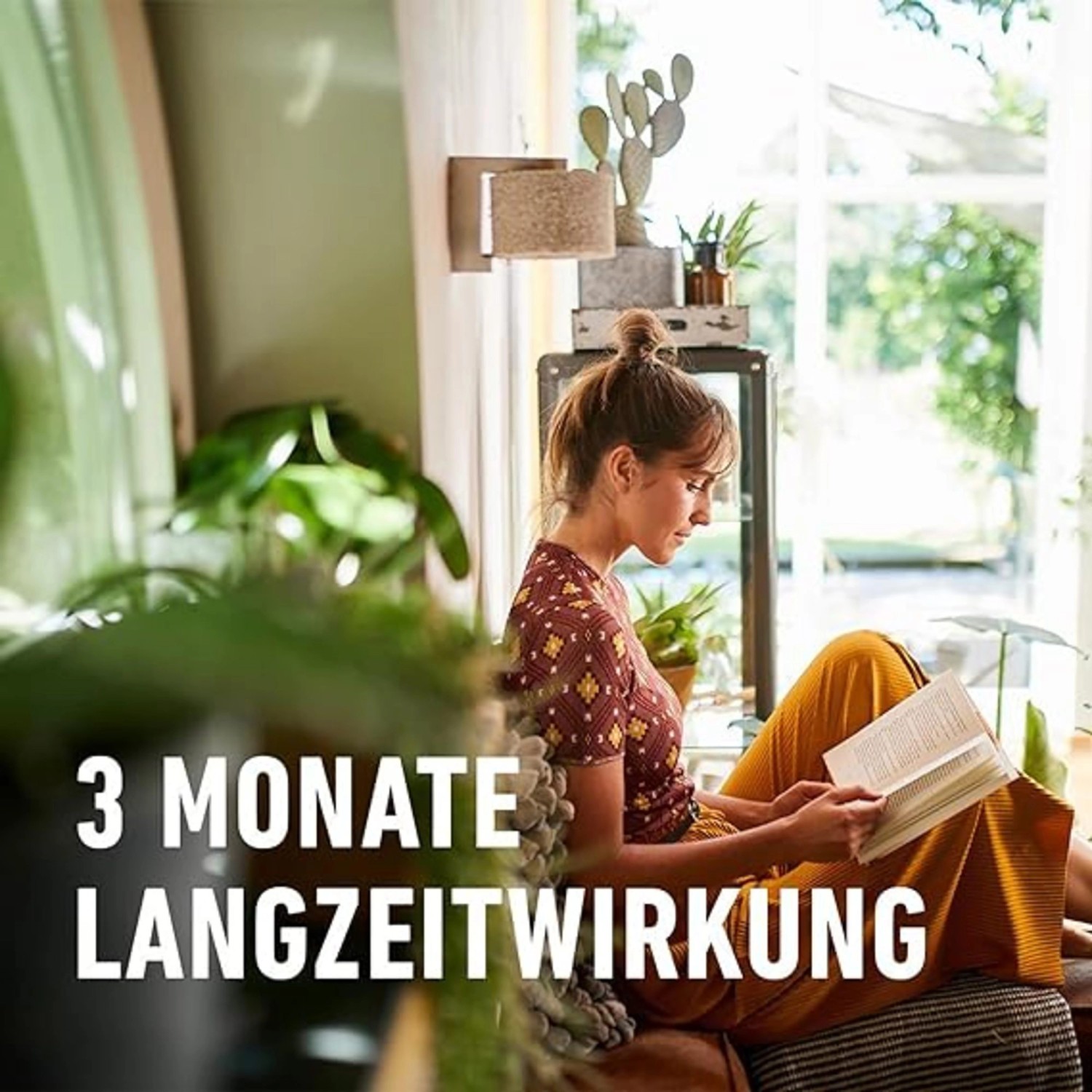 Compo Düngestäbchen für Grünpflanzen und Palmen mit Guano 30 Stäbchen_9