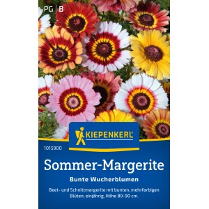 Kiepenkerl Sommer-Margerite: Bunte Wucherblumen in Gelb, Rot, Rosa und Weiß.