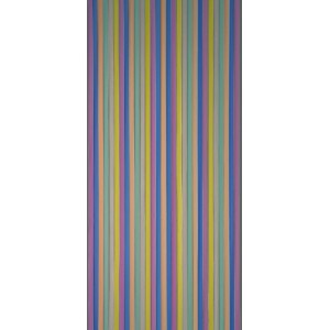 Bunter Streifenvorhang Brilliant, 90x200 cm, ideal als Türvorhang oder Raumteiler.
