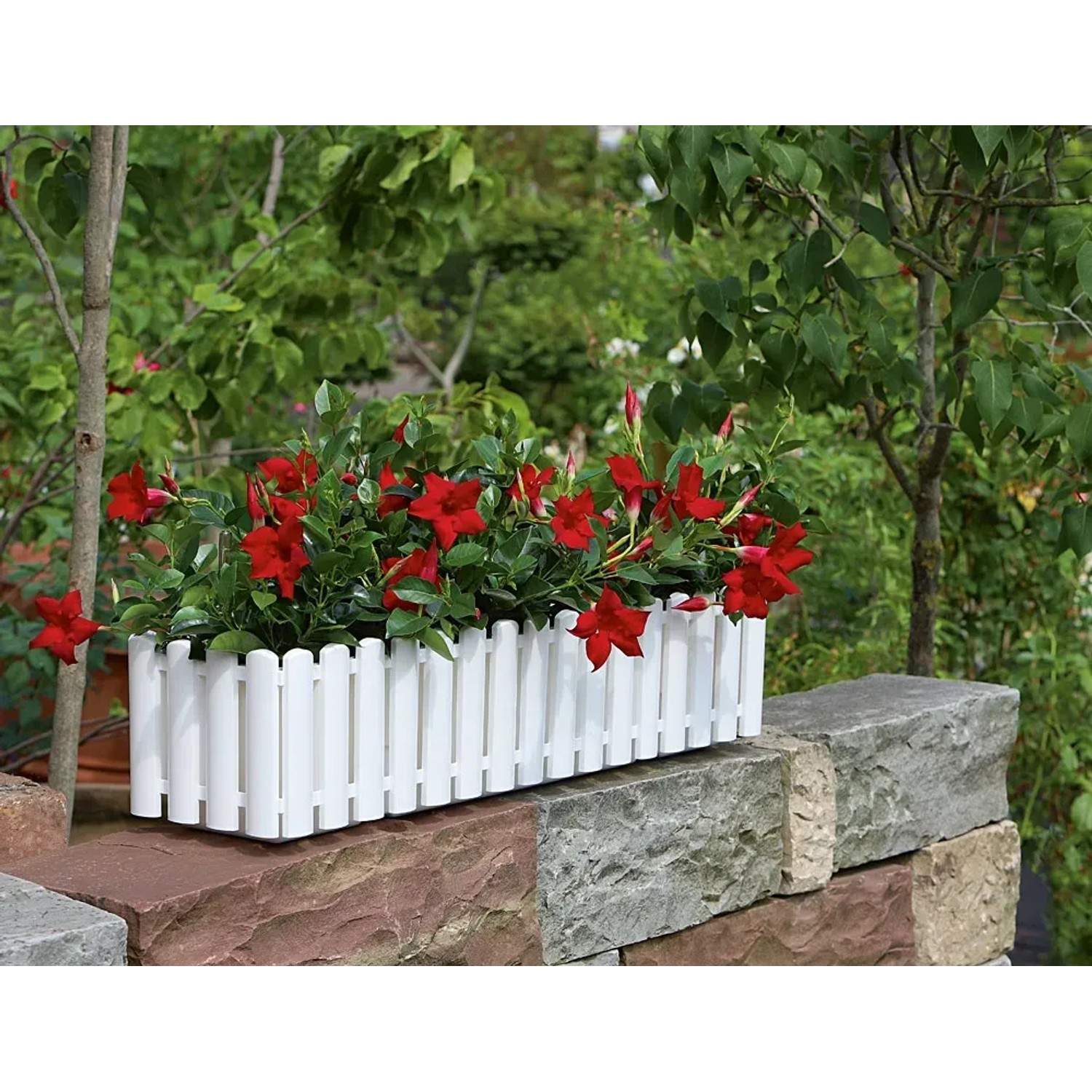Geli Blumenkasten Aqua Palido 74 cm x 19 cm Wei kaufen bei OBI