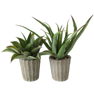 Zwei künstliche Aloe Vera Pflanzen im Topf, 50cm hoch, grüne Blätter, graue Töpfe.