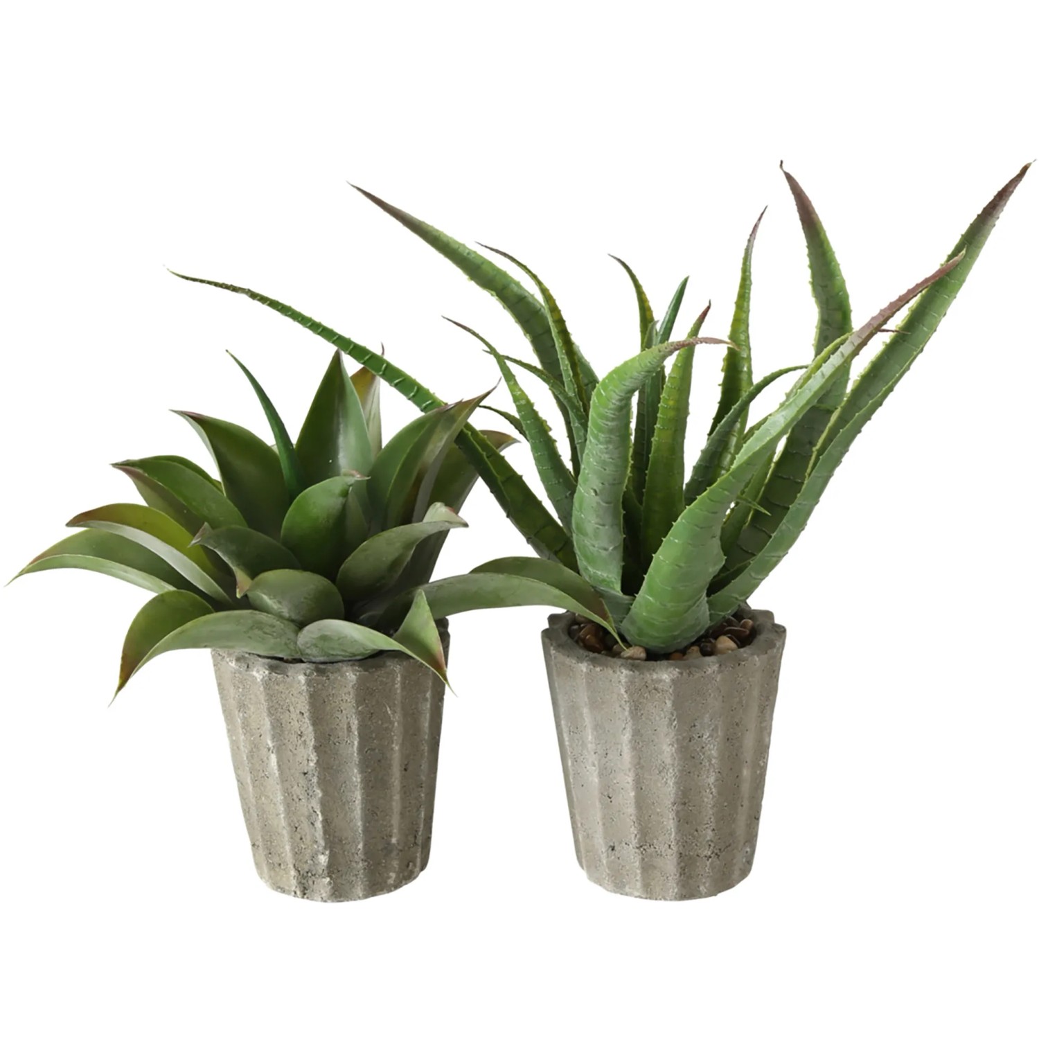 aloe vera naissance 3-v-1 bio čistilna pena za dojenčke – The Marie main image 0