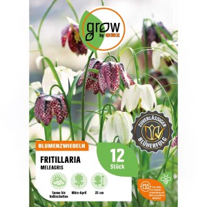 Packung Schachbrettblumen 'meleagris' (12 Stück) der Marke GROW by OBI. Die Blüten sind weiß und lila kariert.
