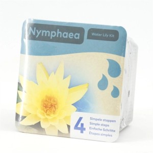 Verpackung einer gelben Seerose (Nymphea) im Topf, geeignet für den Gartenteich.