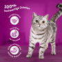 Grau getigerte Katze vor lila Hintergrund, Werbung für Whiskas Katzen-Nassfutter Geflügel in Gelee.