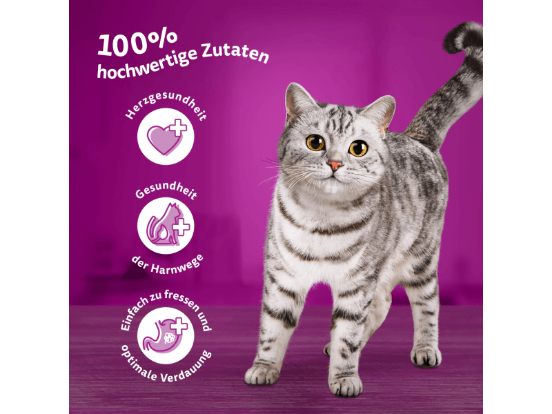 Whiskas Junior Nassfutter 192x85g  Geflgel Auswahl In Gelee Fr Katzen  (Huhn, Ente, Truthahn) Nassfutter Katze