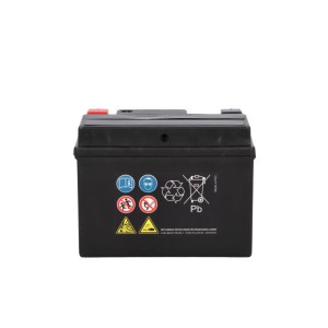 Cartec GEL Motorradbatterie YTX4L-BS 4Ah 120A, wartungsfreie Batterie für Motorräder, Quads und Mofas.