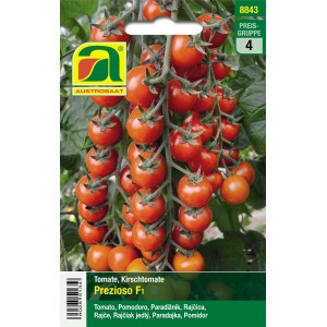 Austrosaat Tomatensamen 'Prezioso F1': Rispe mit roten Cocktailtomaten.