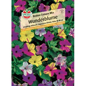 Sperli Saatgut Wunderblume Broken Colours Mix mit bunten Blüten.