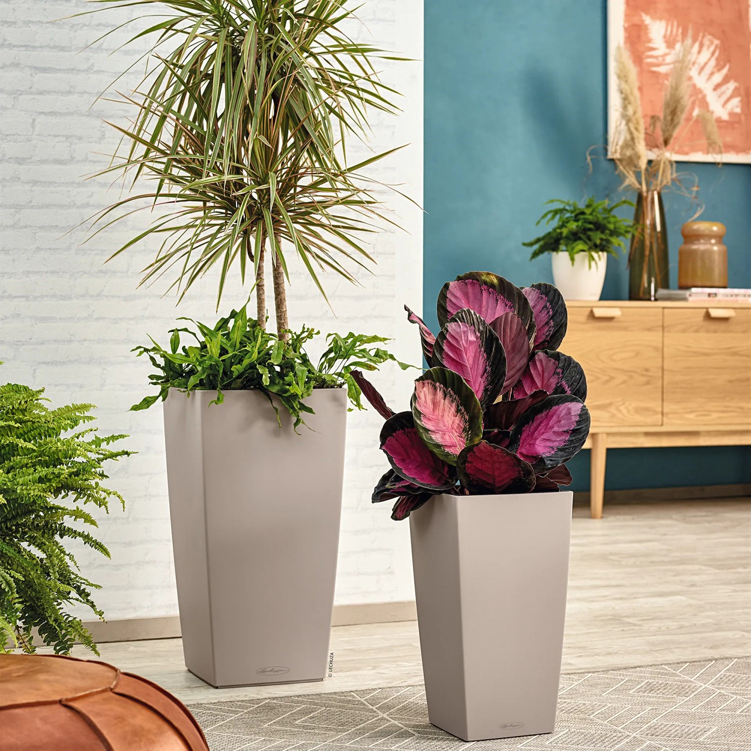 Lechuza Cubico Color Pflanzsäulen, 22x22x41 cm, sandbraun, mit Pflanzen in Wohnraum.