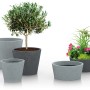 Scheurich Pflanzschalen C-Cone in Stony Grey, verschiedene Größen und Bepflanzungen.