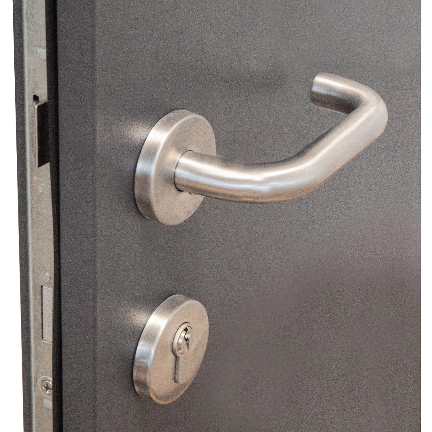 Detailaufnahme: Anthrazitfarbene Sicherheits-Haustür mit Edelstahl-Drückergarnitur und Schloss.