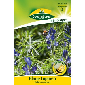 Quedlinburger Lupinen Blau Großpackung: Blumensamen zur Gründüngung mit blauen Blüten und einer Hummel.