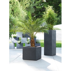Scheurich C-Cube High Pflanzsäule, Ø 26 cm, Stony Black, mit Palme und weiterer Bepflanzung im Garten.
