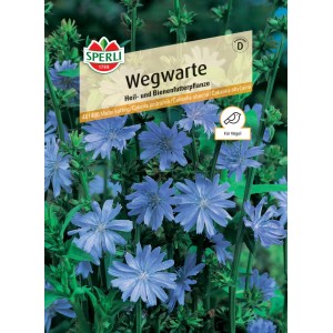 Sperli Saatgut Wegwarte: Packung mit blauen Wegwarte-Blüten, Heil- und Bienenfutterpflanze.